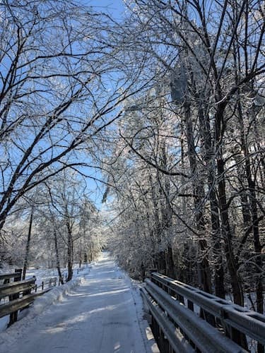 Rawdon River Bridge